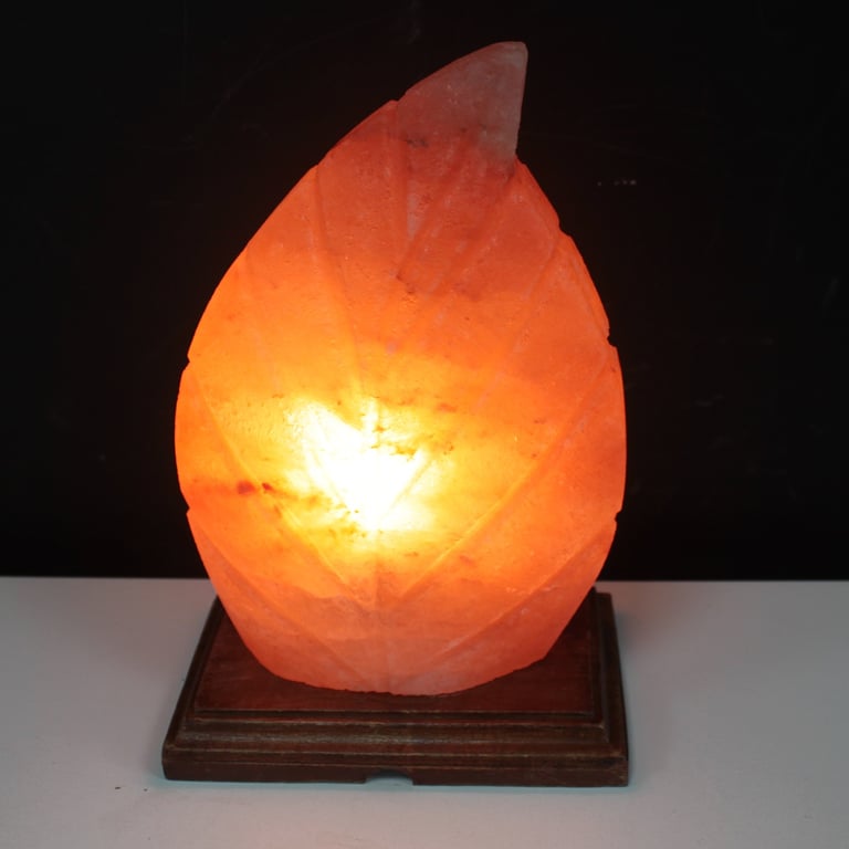 Natural Fern Shape Salt Lamp - Handcrafted Aromatherapy & Air Purifier