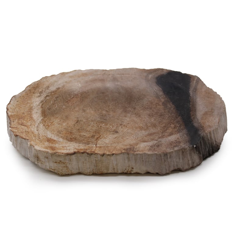 Black Petrified Wood Soap Dish - Durable & Unique Design