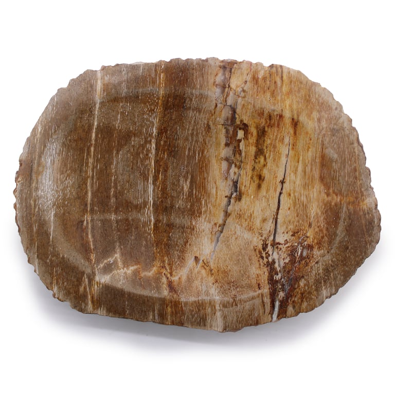 Brown Soap Dish (Petrified Wood) - Durable & Eco-Friendly
