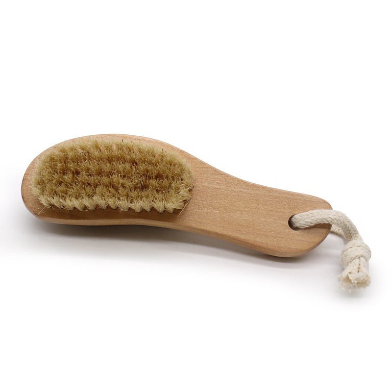 Pumice Backed Exfoliating Brush for Home Grooming and Skin Care