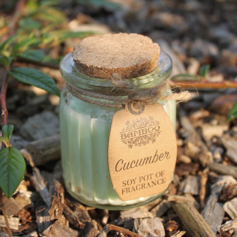 Cucumber Soy Pot of Fragrance Candles - Natural Home Scented Soy Wax Candles for Relaxation and Ambiance