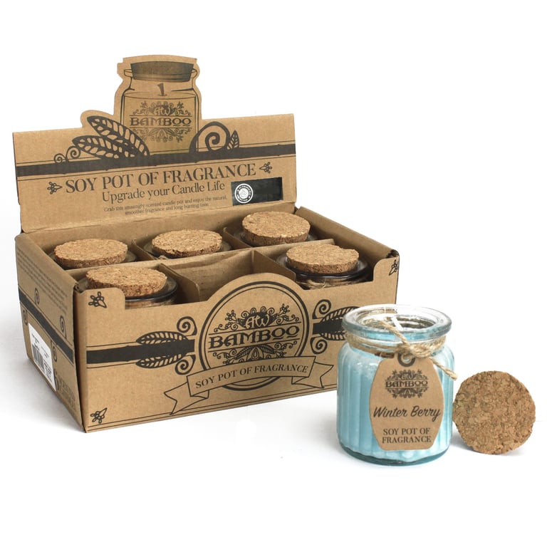 Winter Berry Soy Pot of Fragrance Candles - Home Scented Soy Wax Candles with Winter Berry Fragrance