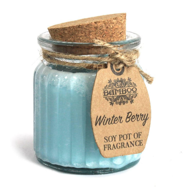 Winter Berry Soy Pot of Fragrance Candles - Home Scented Soy Wax Candles with Winter Berry Fragrance