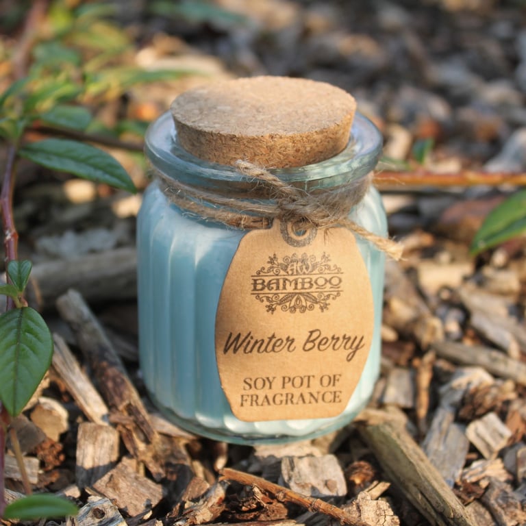 Winter Berry Soy Pot of Fragrance Candles - Home Scented Soy Wax Candles with Winter Berry Fragrance