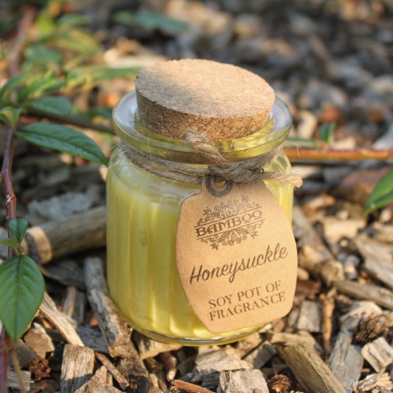 Honeysuckle Soy Pot of Fragrance Candles - Natural Soy Wax Home Scented Candles with Honeysuckle Fragrance