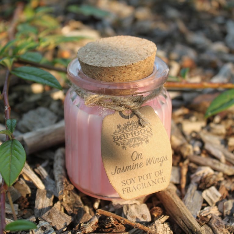 On Jasmine Wings Soy Pot of Fragrance Candles - Natural Jasmine Scented Soy Wax Candles for Home