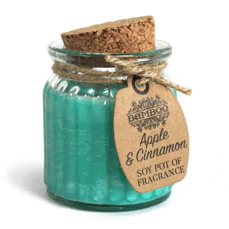 Apple & Cinnamon Soy Pot of Fragrance Candle - Natural Scented Home Decor with Soy Wax