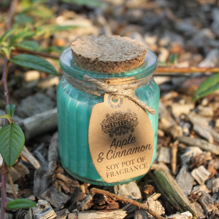 Apple & Cinnamon Soy Pot of Fragrance Candle - Natural Scented Home Decor with Soy Wax