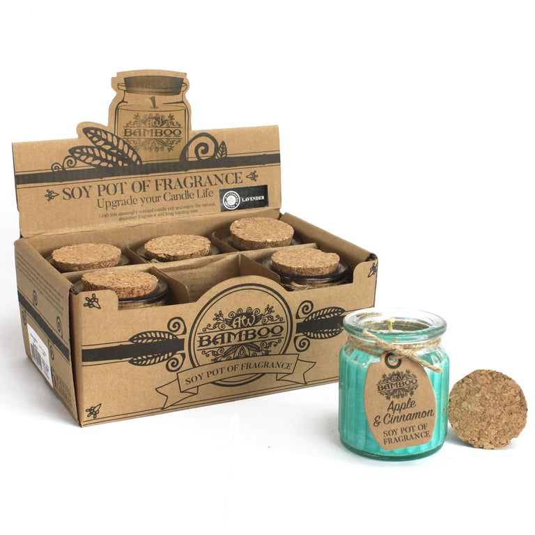 Apple & Cinnamon Soy Pot of Fragrance Candle - Natural Scented Home Decor with Soy Wax
