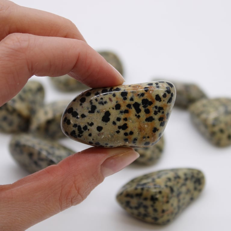 XL Dalmation Stones - Natural Decorative Tumbling Stones