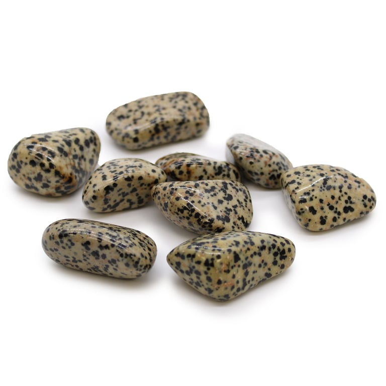 XL Dalmation Stones - Natural Decorative Tumbling Stones