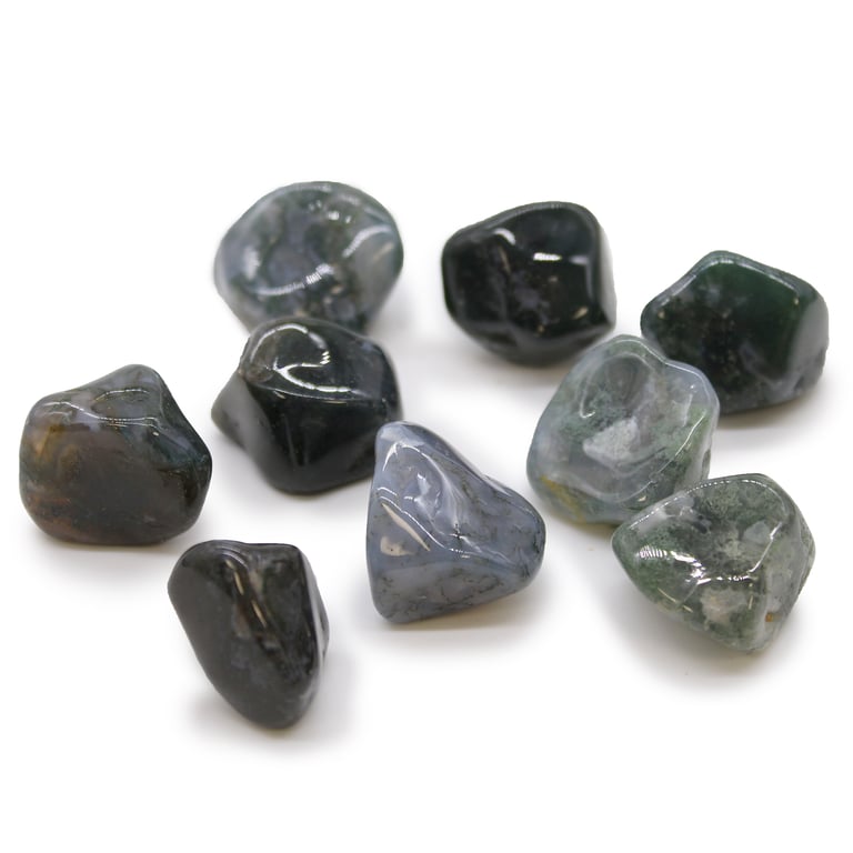 XL Green Moss Tumble Stones - Natural Decorative Stones by Brand Name