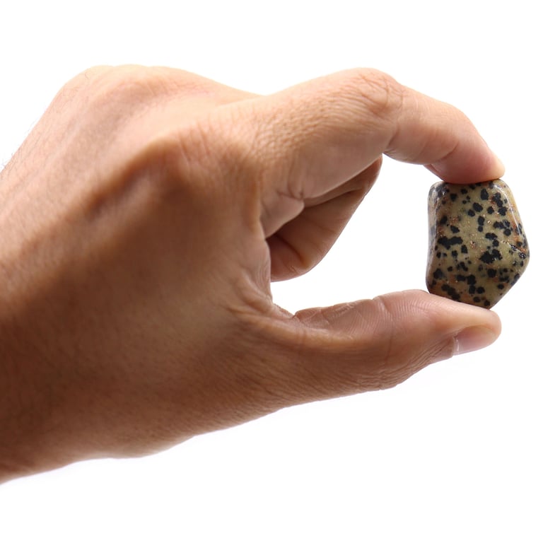 Dalmatian Tumble Stones - Crystal Healing Metaphysical Meditation Wellness Stone Set