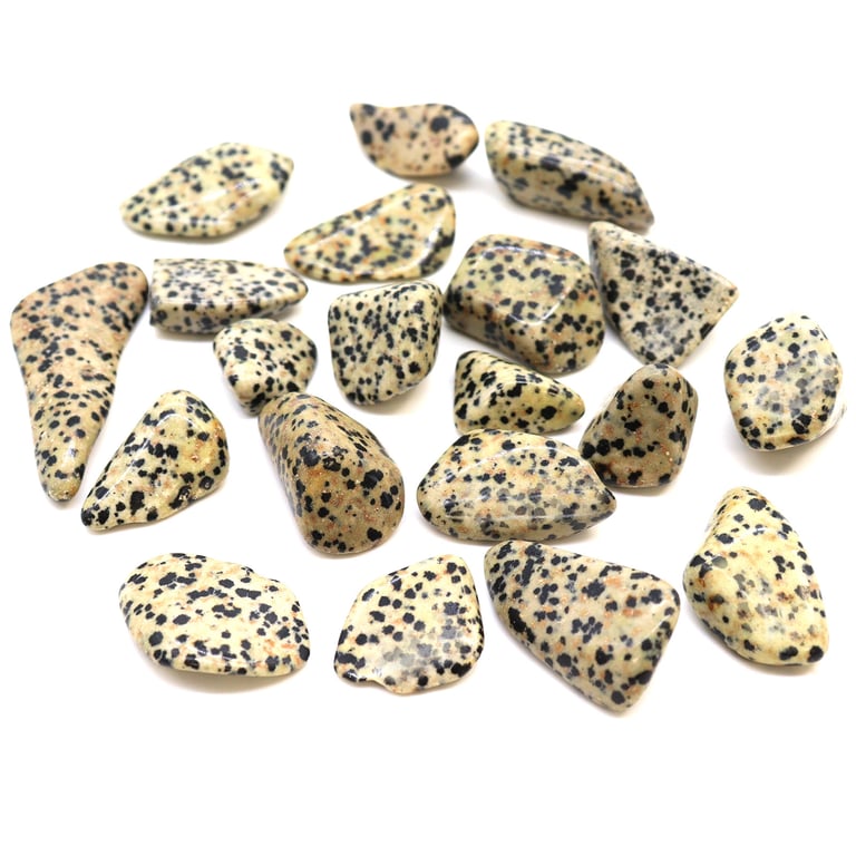 Dalmatian Tumble Stones - Crystal Healing Metaphysical Meditation Wellness Stone Set