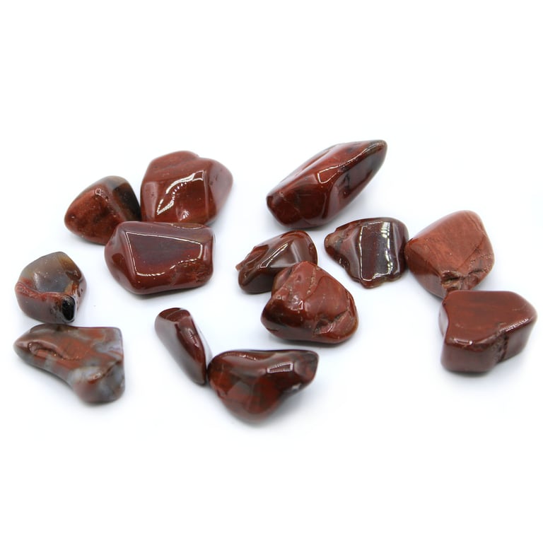 Tumble Stones - Petrified Wood - Premium Quality (Brand Name)