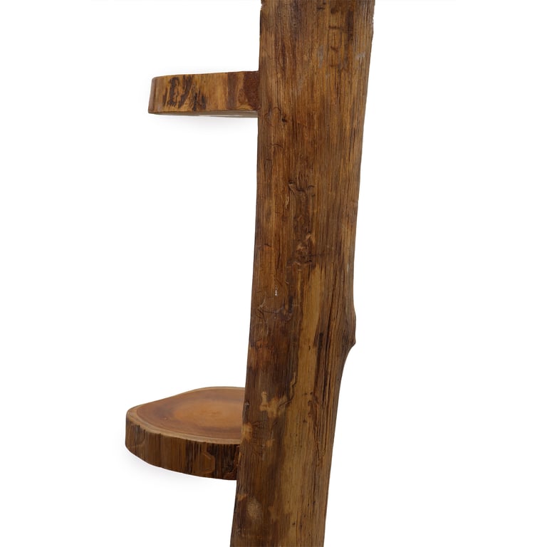 Teak Log Shelve Display (3 Shelves, 100cm High) - Natural Material & Modern Design