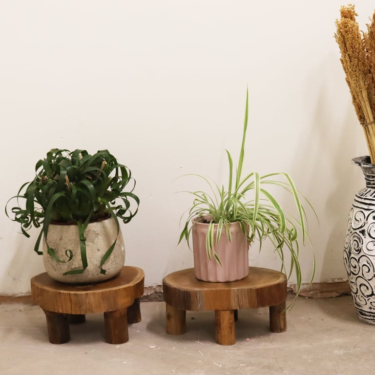 Teak Pad Display (24x10cm) - Compact & Stylish by Brand/Model