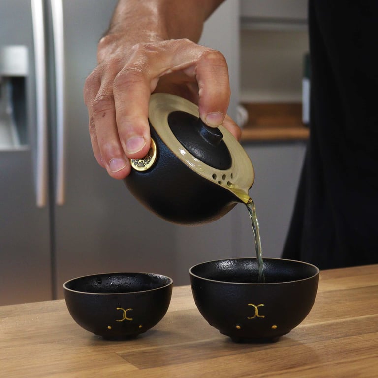 Travel Black Teapot Set (2 Cups) - Money Cat Design