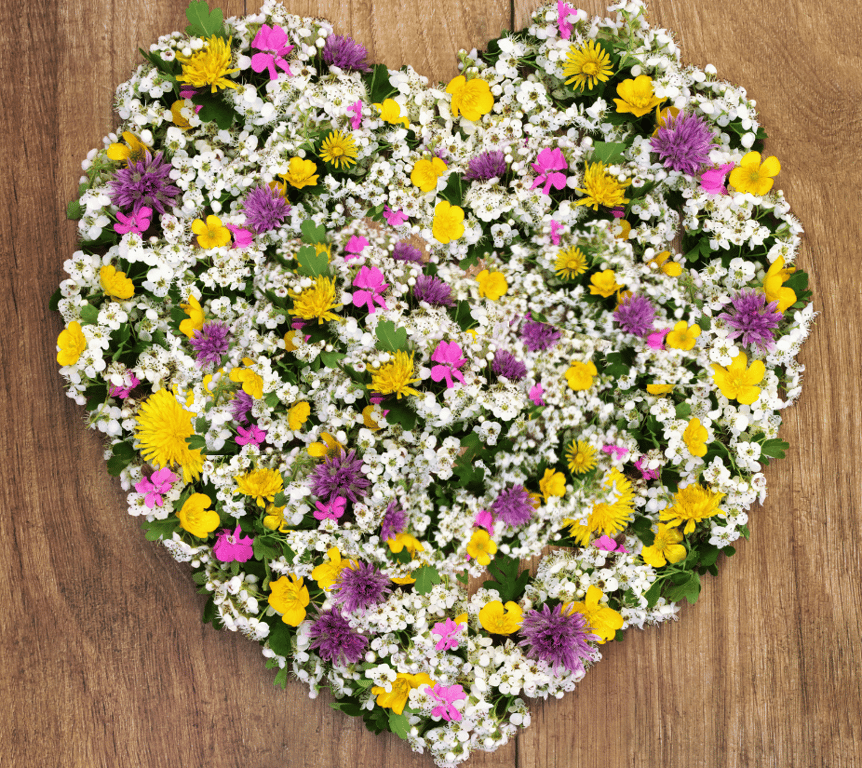 Heart Oasis 18 Floral Foam (2 Pack) for Home & Garden Flower Arrangements and Crafting Supplies
