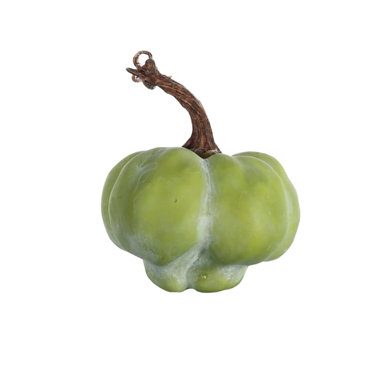 Green Pumpkin with Stalk - Perfect Fall and Halloween Decoration (13cm x 11cm)