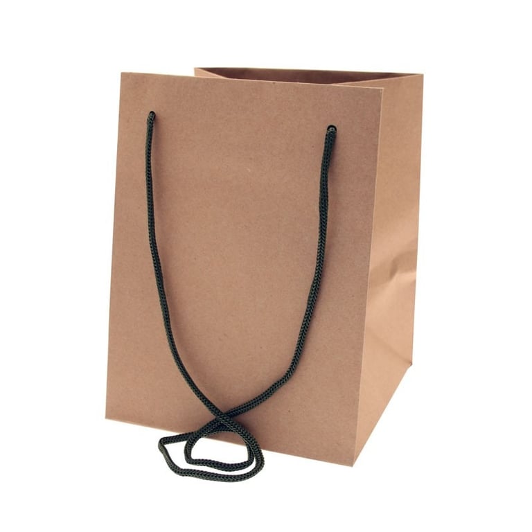 Natural Kraft With Moss Handle Hand Tie Bag - Eco Friendly Reusable Home Decor Shopping Bag