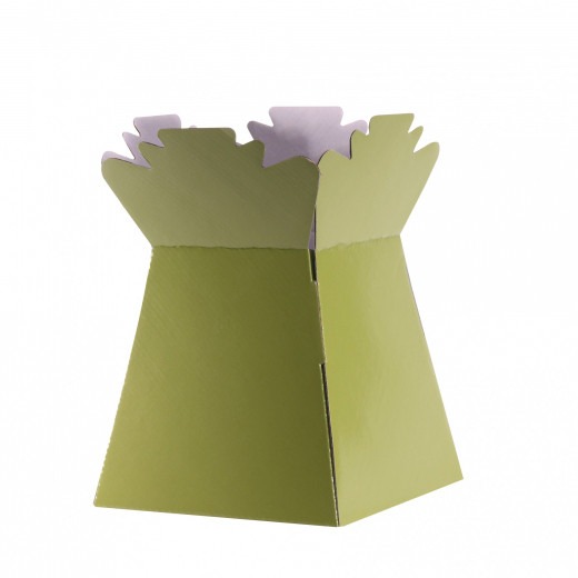 Sage Green Eco-Friendly Living Vase - Modern Home Decor and Indoor Plant Holder
