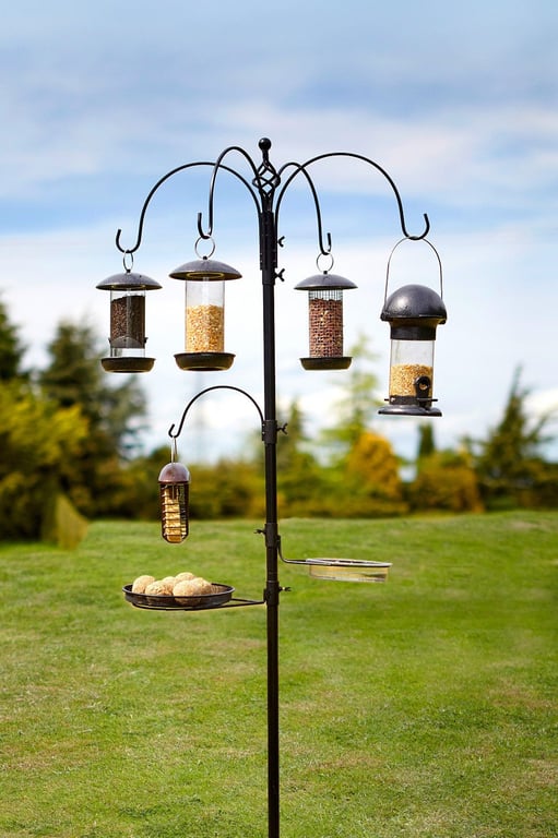 Tom Chambers Select Bird Station - All-in-One Outdoor Bird Feeding and Watching Solution with Seed Holder and Attractor