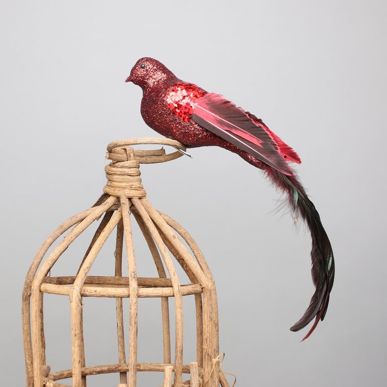 Red Paradise Bird with Clip - Exotic Home Decor Ornament