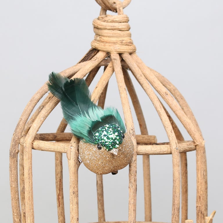 Green Longtail Finch Bird with Secure Clip Attachment for Aviary Pets