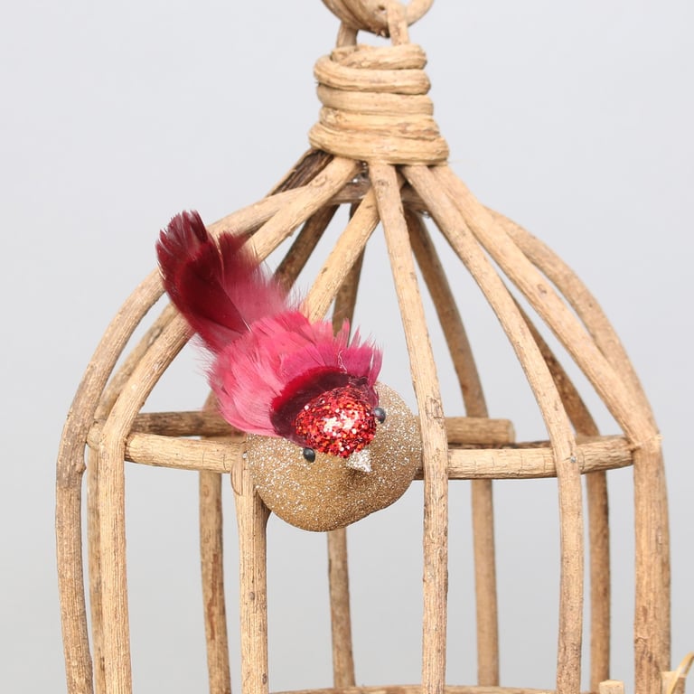 Red Longtail Finch Bird Clip - Ornamental Exotic Pet Bird Holder