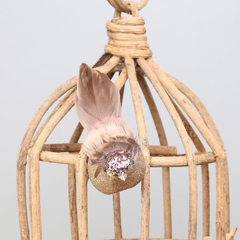 Pink Longtail Finch with Bird Clip - Exotic Pet Bird Aviary Equipment