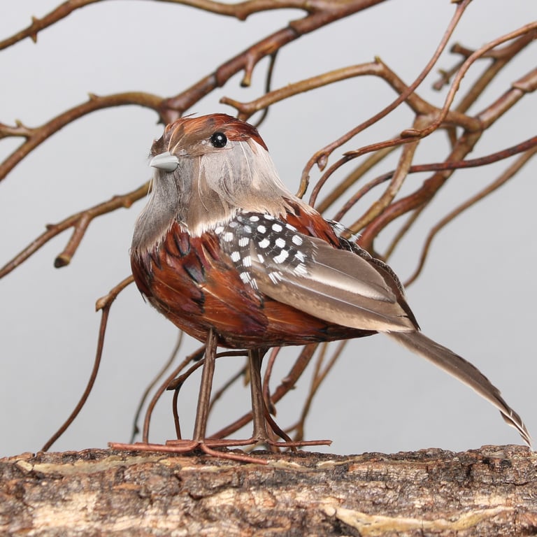 Ornamental Chaffinch Bird - Wild Garden Decoration Figurine