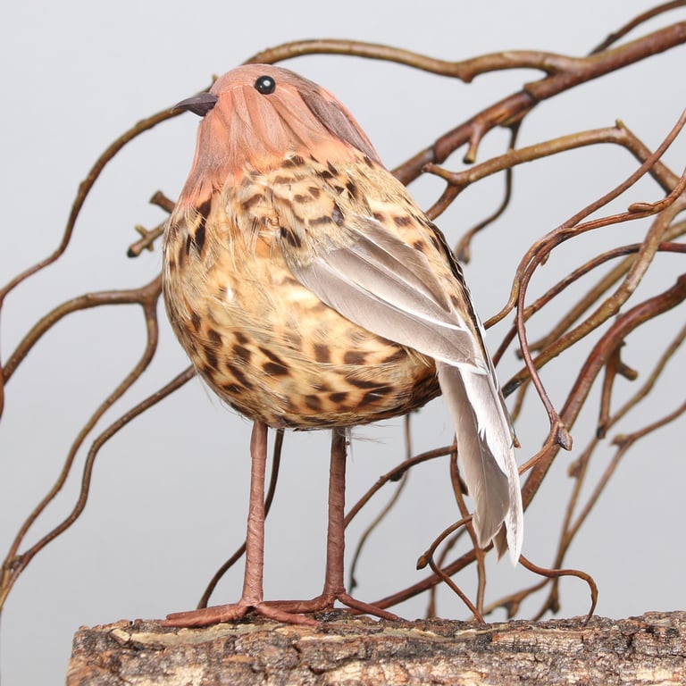 Ornamental Thrush Bird - Realistic Outdoor Garden Decoration Statue