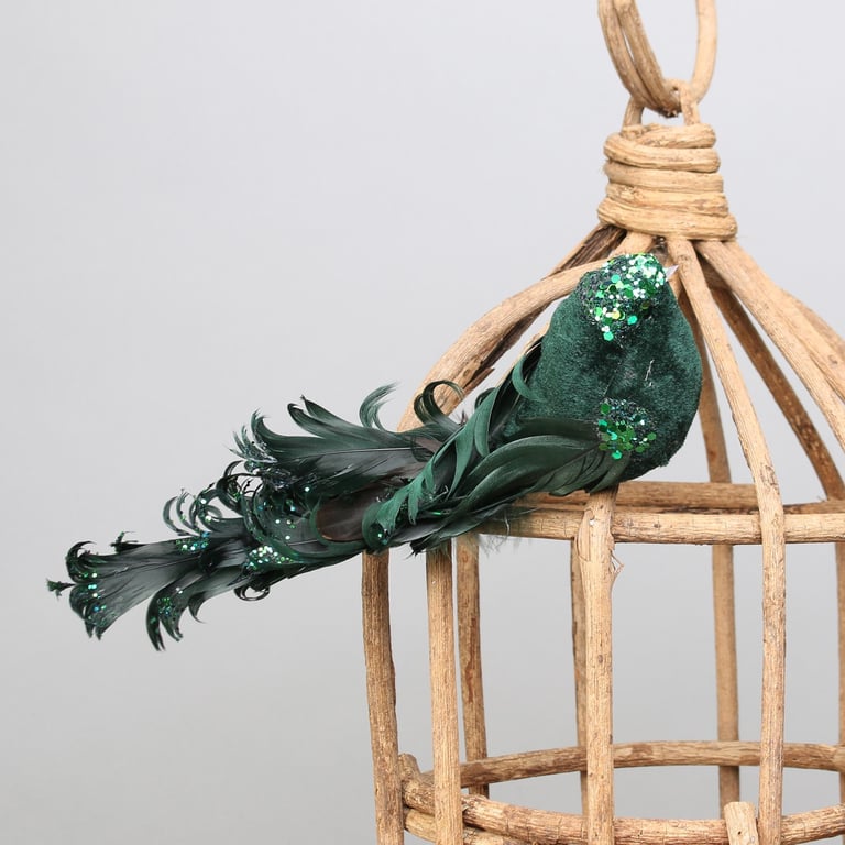 Green Showfeather Bird w/Clip - Attract Backyard Birds with this Easy Clip-On Feeder