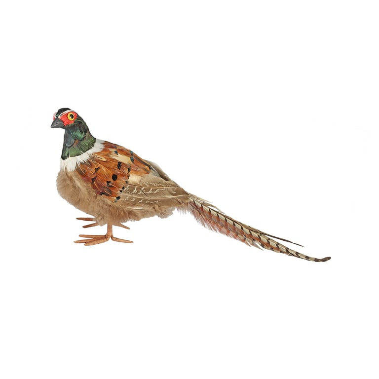 Medium Pheasant Wall Art Decoration - H16cm Bird Figurine Home Decor Piece