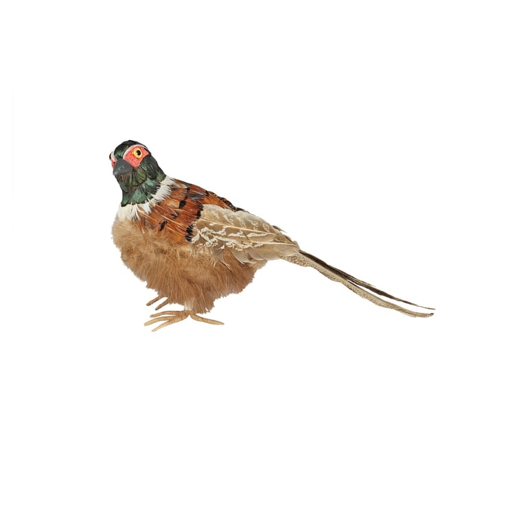 Small Pheasant Garden Ornament Statue - Bird Figurine Decoration for Home and Garden Decor
