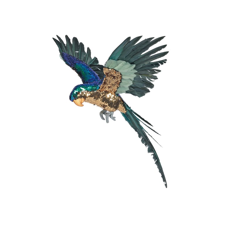 Blue and Gold Macaw Bird - 55cm Large Pet Parrot