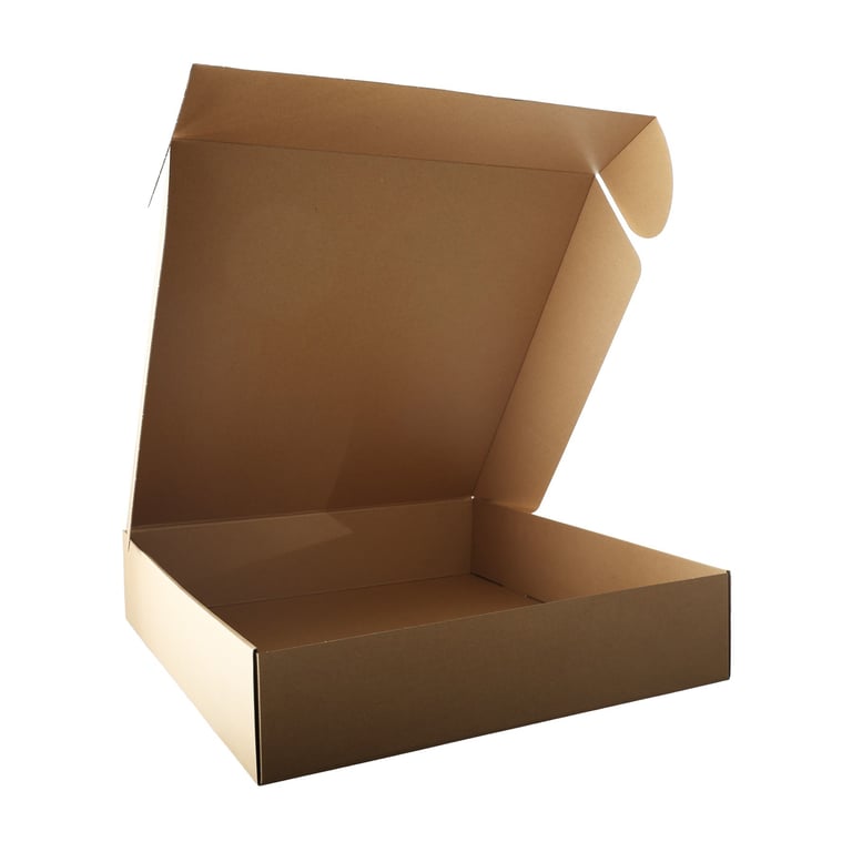 Wreath Storage Box - Holiday Decor Organizer (56cm)