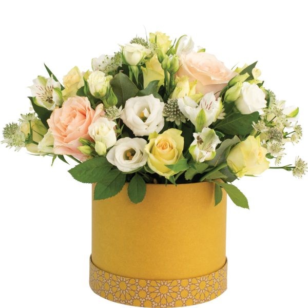 Eden Flare Butterscotch Yellow Hat Box Set - Stylish Storage for Fashion Accessories and Home Organization