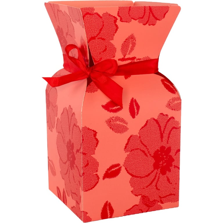 Red Vanity Box Set (10-Pack) - 26cm Makeup Storage and Jewelry Organizer Beauty Case