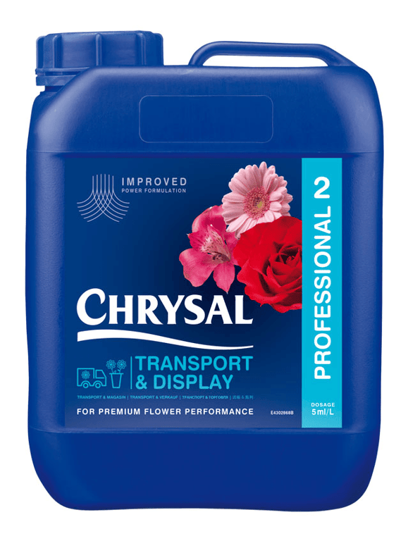 Chrysal Professional 2 Concentrated - Powerful 10 Litre All-Purpose Cleaner for Home and Commercial Use