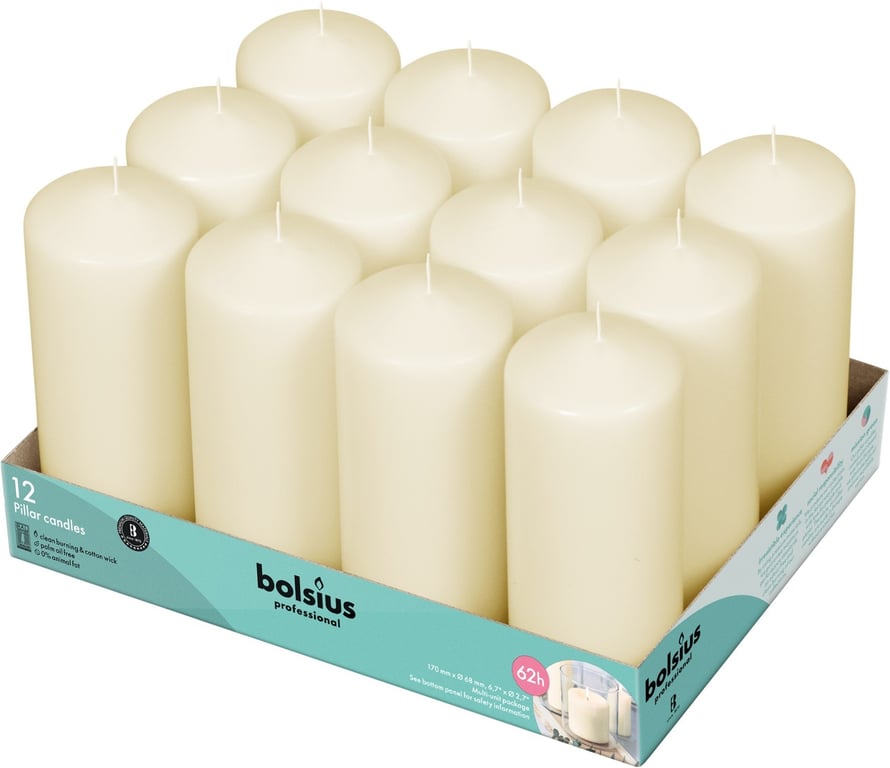 Bolsius 12-Pack Ivory Professional Pillar Candles for Home Decor