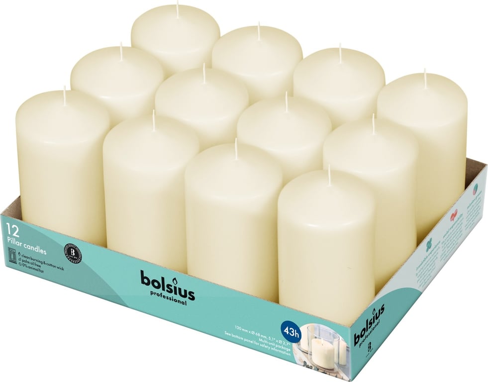 Ivory 12-Piece Set of Professional Bolsius Pillar Candles