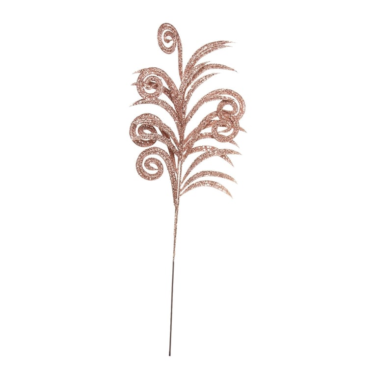 Rose Peacock Fern Spray - Add Elegant Greenery to Your Home Decor with this Beautiful House Plant