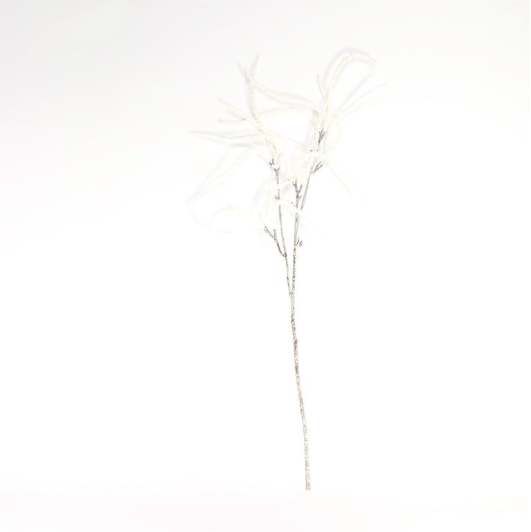 White Willow Spray - Natural Insect Repellent for Home Gardening and Outdoor Plant Protection