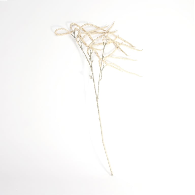 Elegant Dcor Willow Scents - Champagne Willow Spray for Home and Garden Fragrance