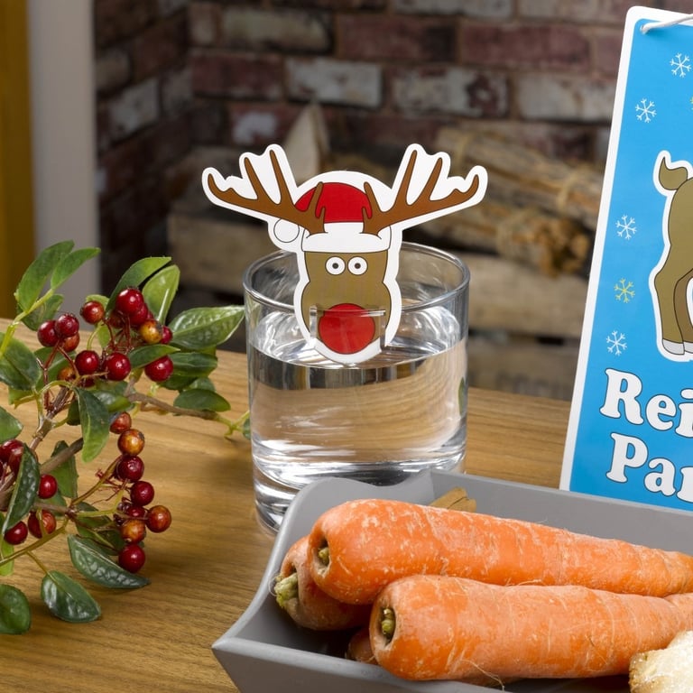 Rudolph Glass Christmas Decorations Set of 10 - Beautiful Holiday Home Ornaments