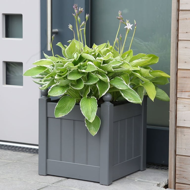 AFK Small Classic Painted Planter - Charcoal for Home Decor and Indoor Plant Pot