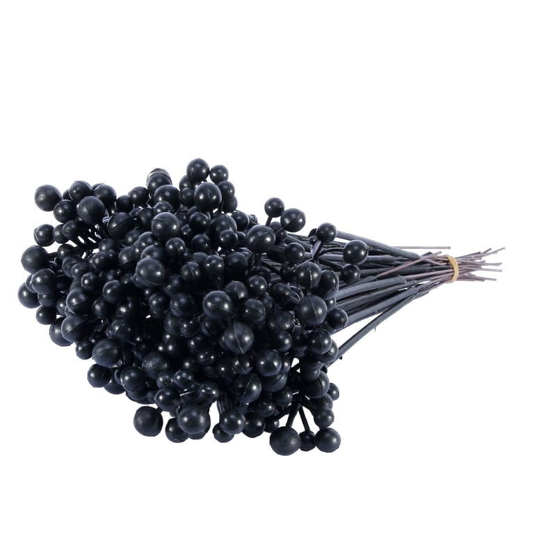 7 Inch Black Plastic Berry Storage Box - Fruit Container for Kitchen Organisation