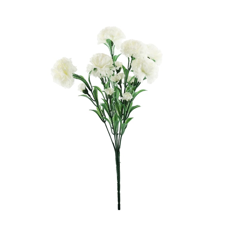 Essential Ivory Carnation Bunch - Timeless Home & Garden Decorations and Wedding Flower Arrangements